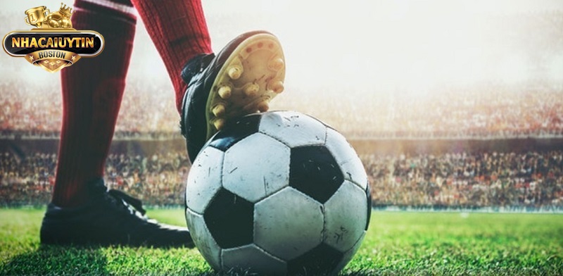 Quan sát biến động kèo cược trận bóng đá liên tục