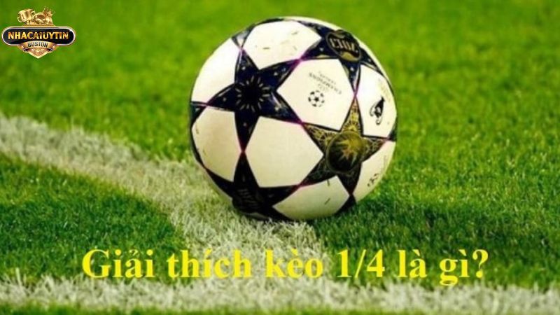 Giải mã thông tin liên quan tới kèo 1 4 là gì
