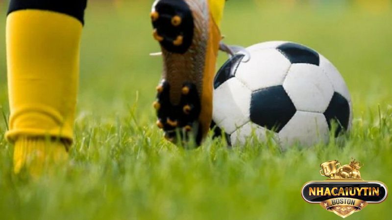 Bật mí kèo 1/4 là gì và cách đọc chuẩn tới 99%